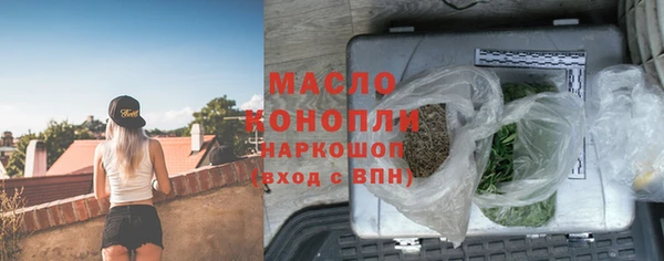 крисы Няндома