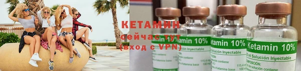 крисы Няндома