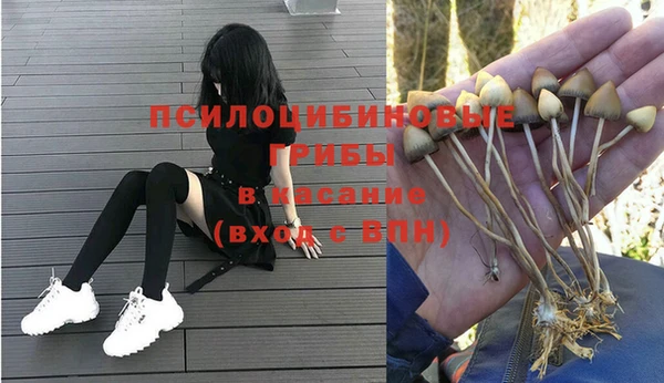 а пвп мука Новозыбков