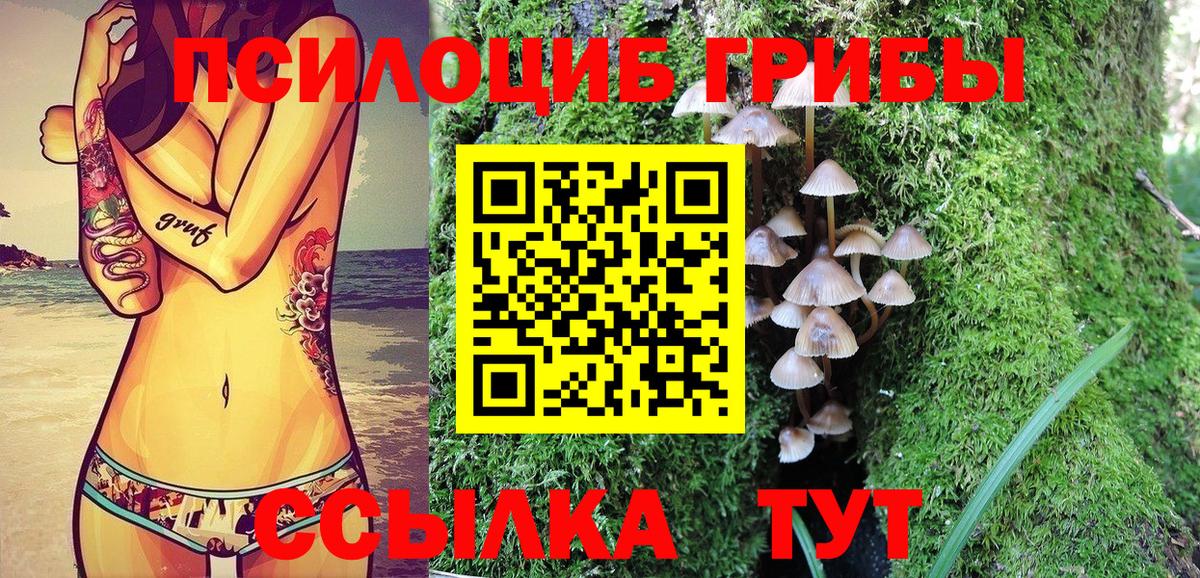 Галлюциногенные грибы GOLDEN TEACHER  Вход с VPN  Кирово-Чепецк 